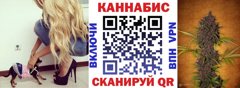 Каннабис сатива  Иноземцево 